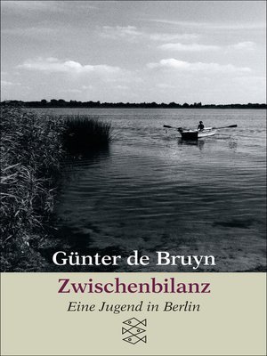 cover image of Zwischenbilanz